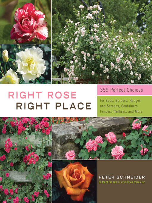 Title details for Right Rose, Right Place by Peter Schneider - Wait list